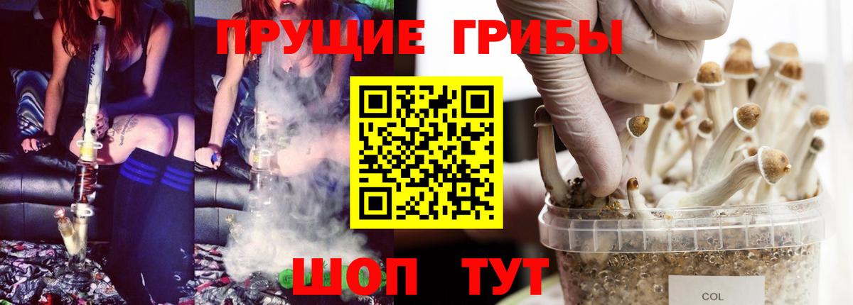 Псилоцибиновые грибы ЛСД Балашиха